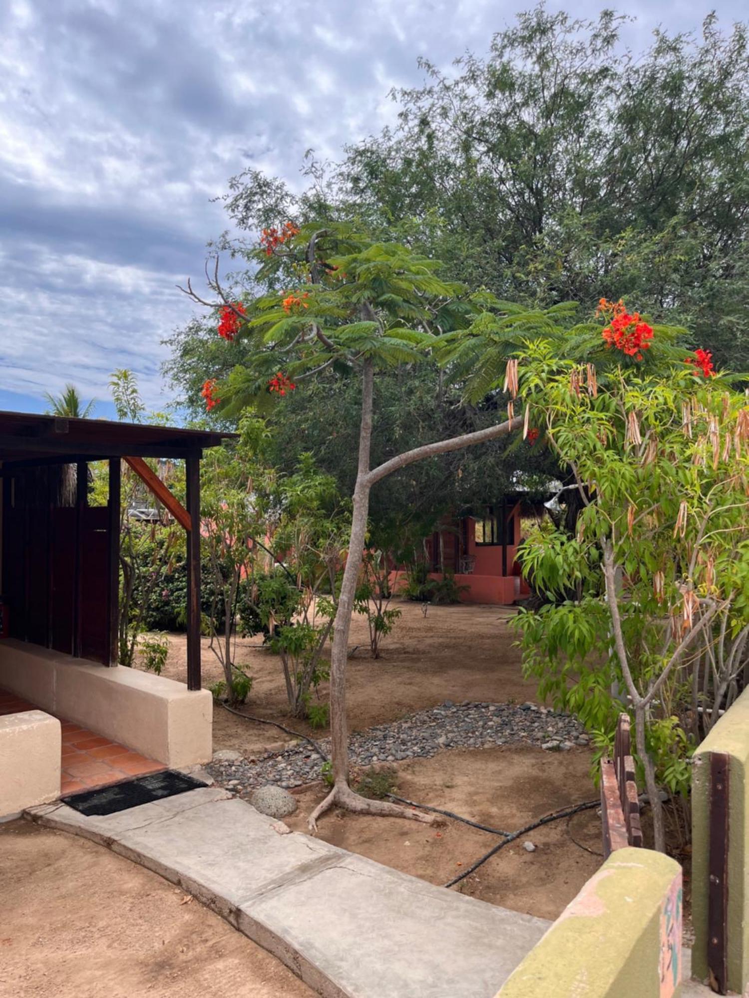 Cabo Pulmo Beach Resort Екстер'єр фото